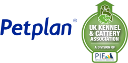 Petplan, UK Kennel and Cattery Association